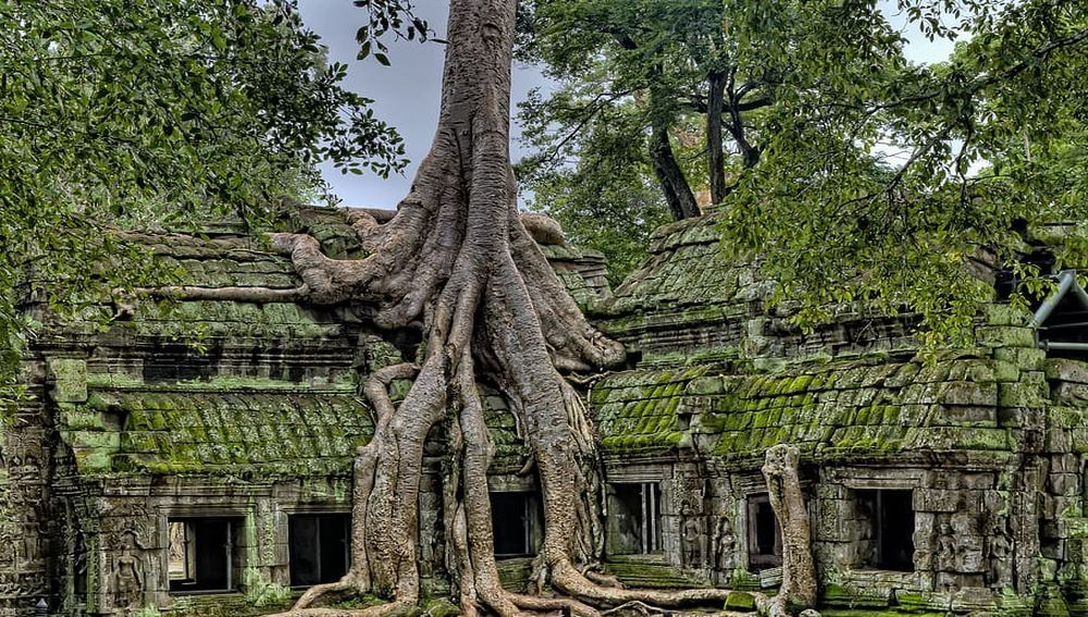 Angkor 3.jpg